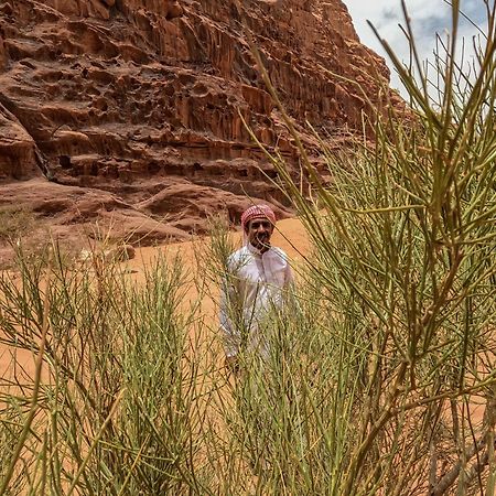 Stargazing Camp & Tours Hotell Wadi Rum Eksteriør bilde