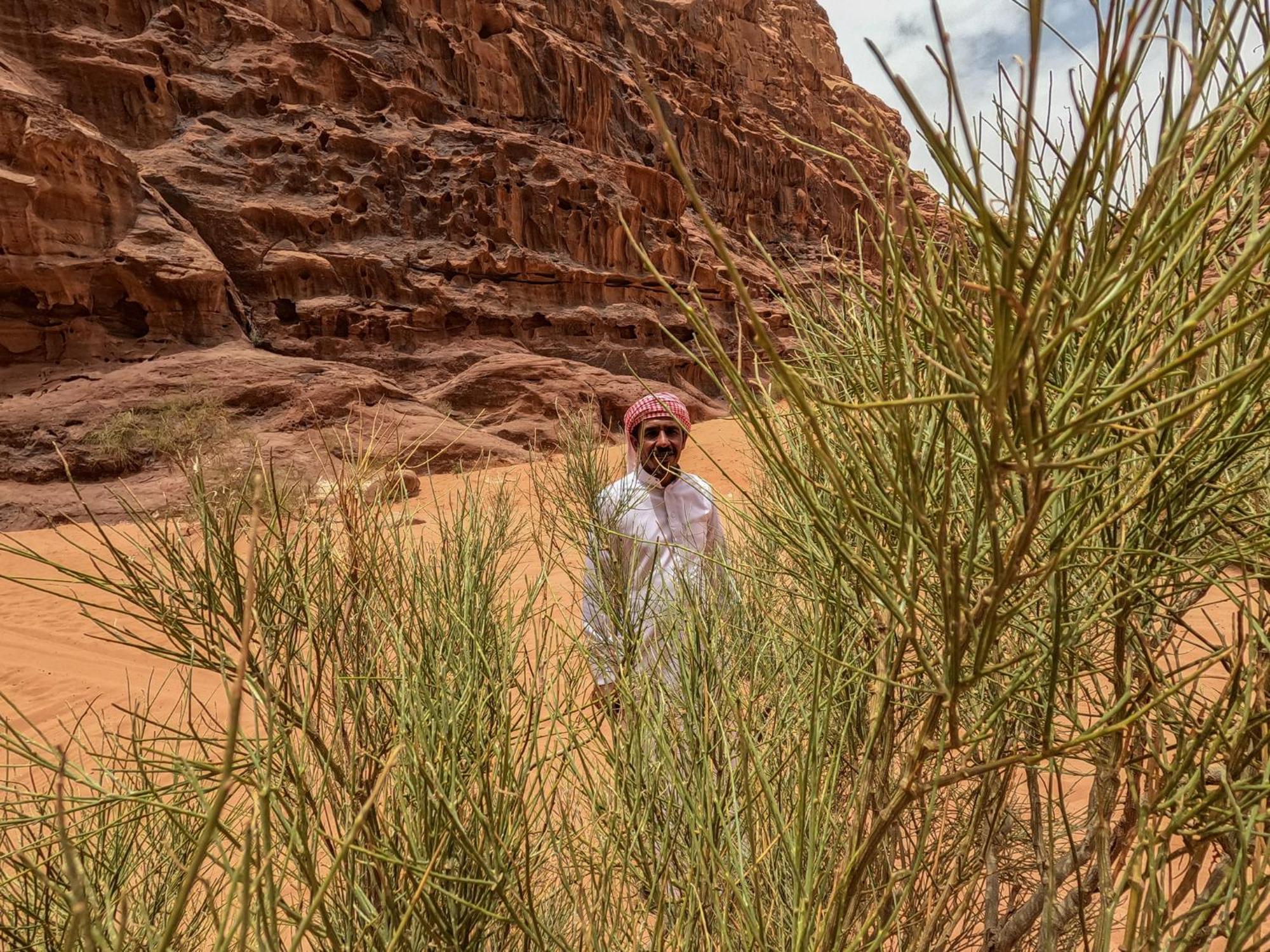 Stargazing Camp & Tours Hotell Wadi Rum Eksteriør bilde