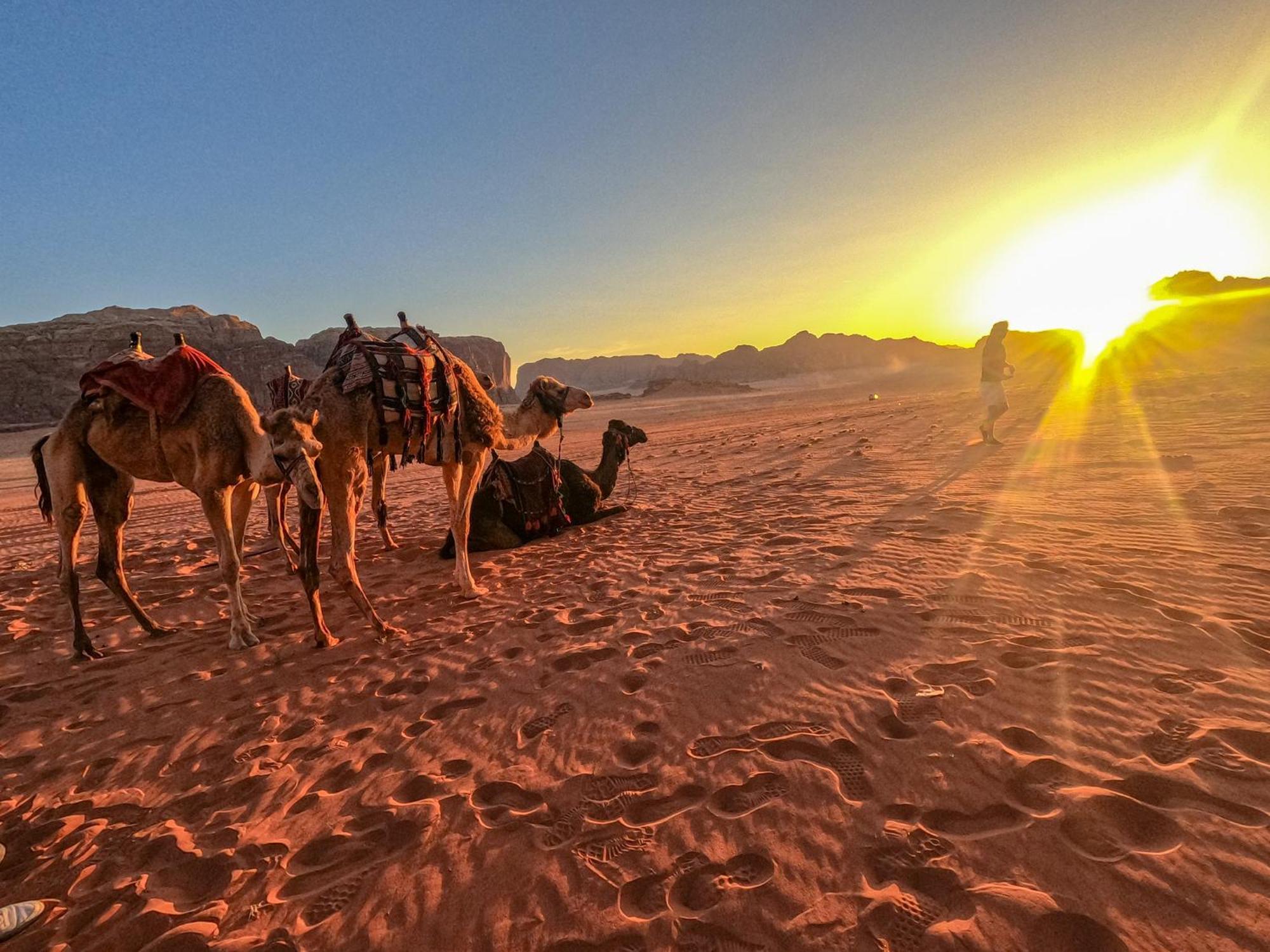 Stargazing Camp & Tours Hotell Wadi Rum Eksteriør bilde