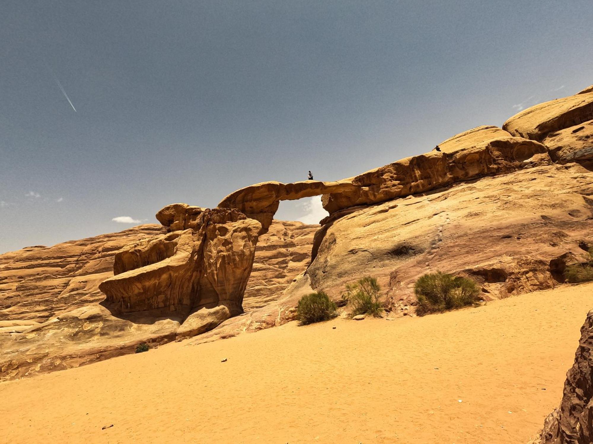 Stargazing Camp & Tours Hotell Wadi Rum Eksteriør bilde