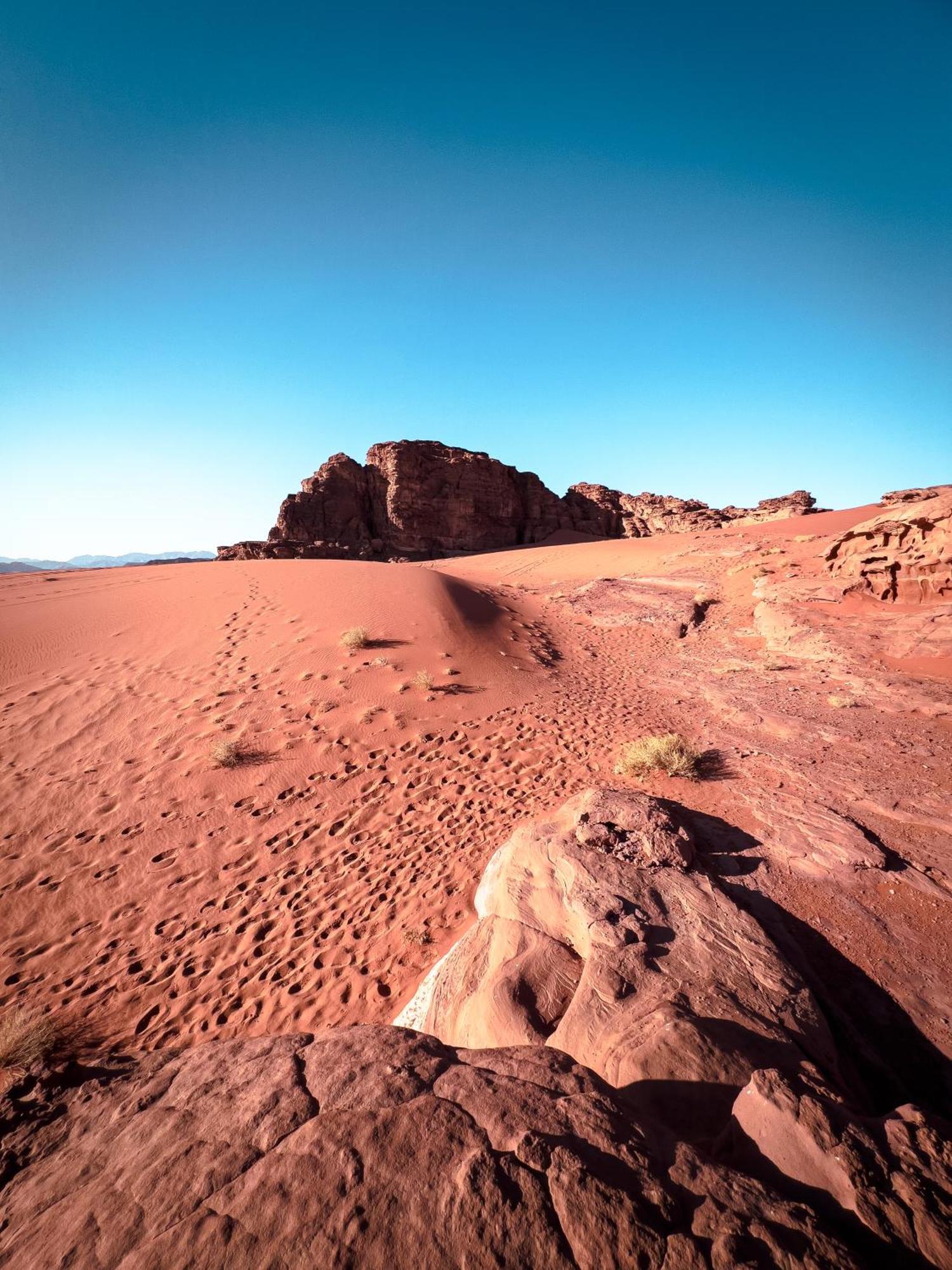 Stargazing Camp & Tours Hotell Wadi Rum Eksteriør bilde