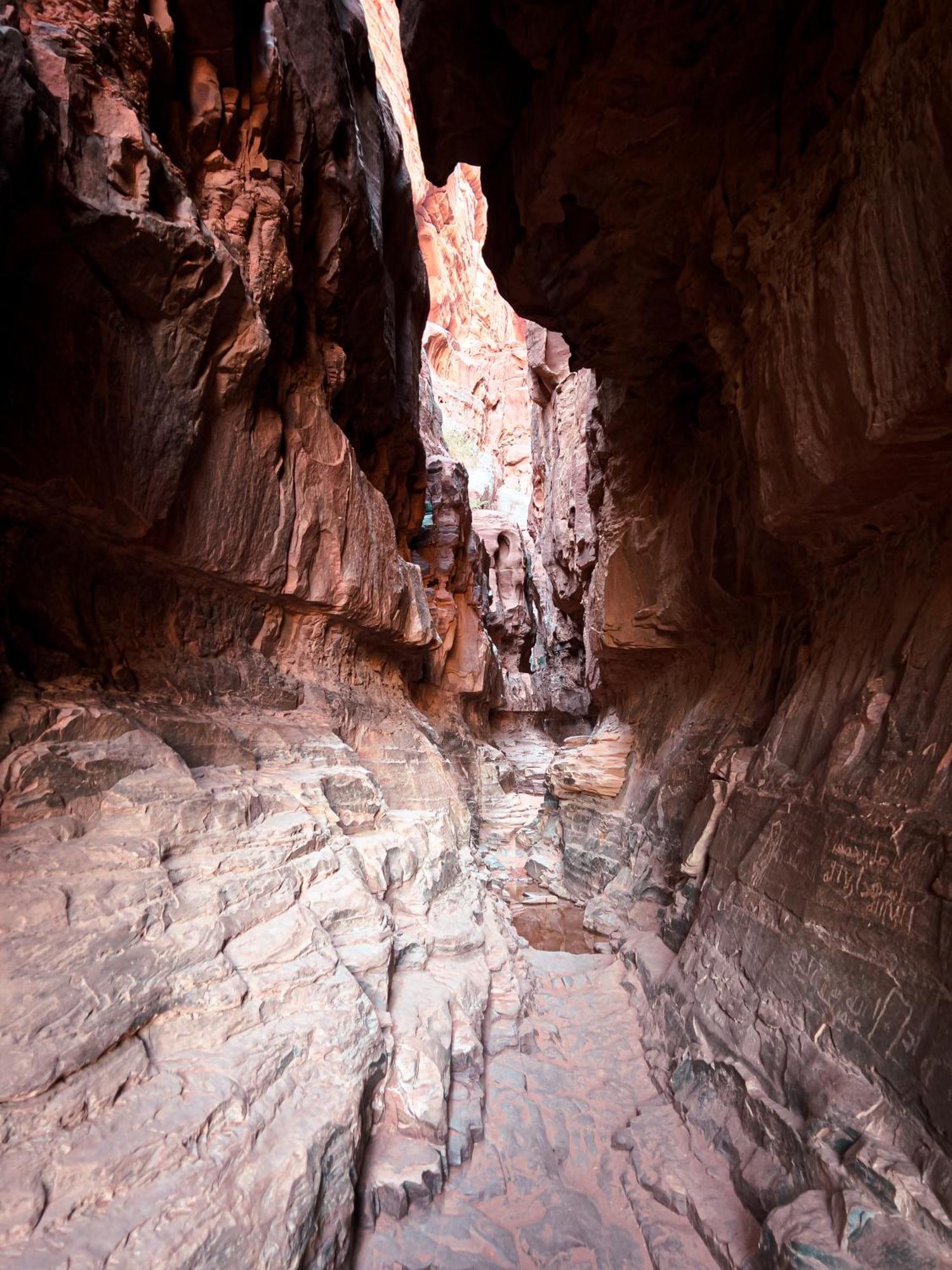 Stargazing Camp & Tours Hotell Wadi Rum Eksteriør bilde