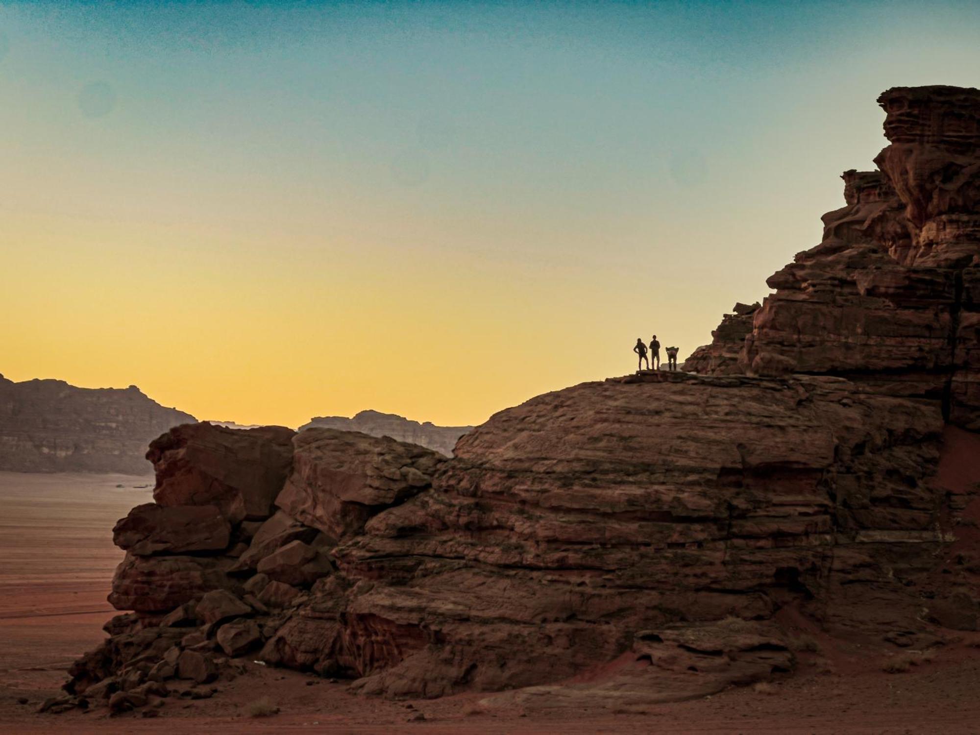 Stargazing Camp & Tours Hotell Wadi Rum Eksteriør bilde