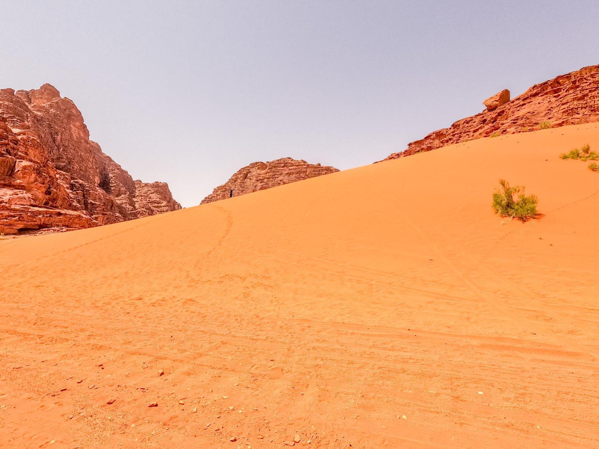 Stargazing Camp & Tours Hotell Wadi Rum Eksteriør bilde