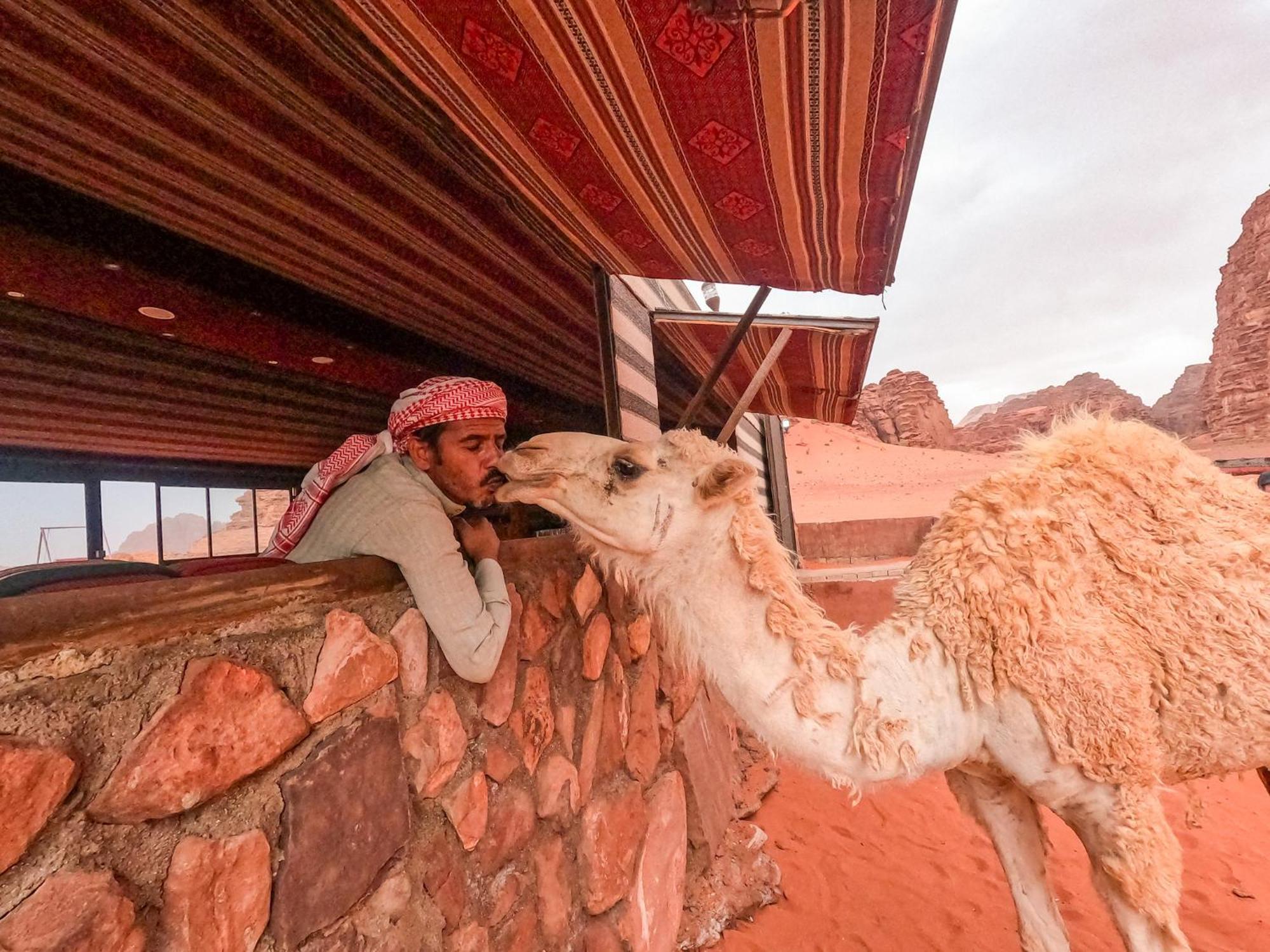 Stargazing Camp & Tours Hotell Wadi Rum Eksteriør bilde