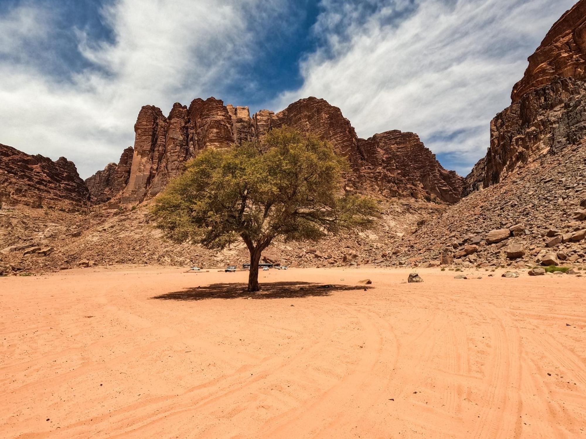 Stargazing Camp & Tours Hotell Wadi Rum Eksteriør bilde