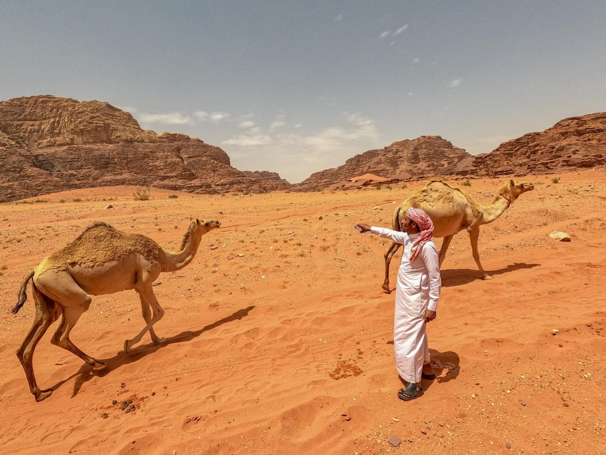 Stargazing Camp & Tours Hotell Wadi Rum Eksteriør bilde