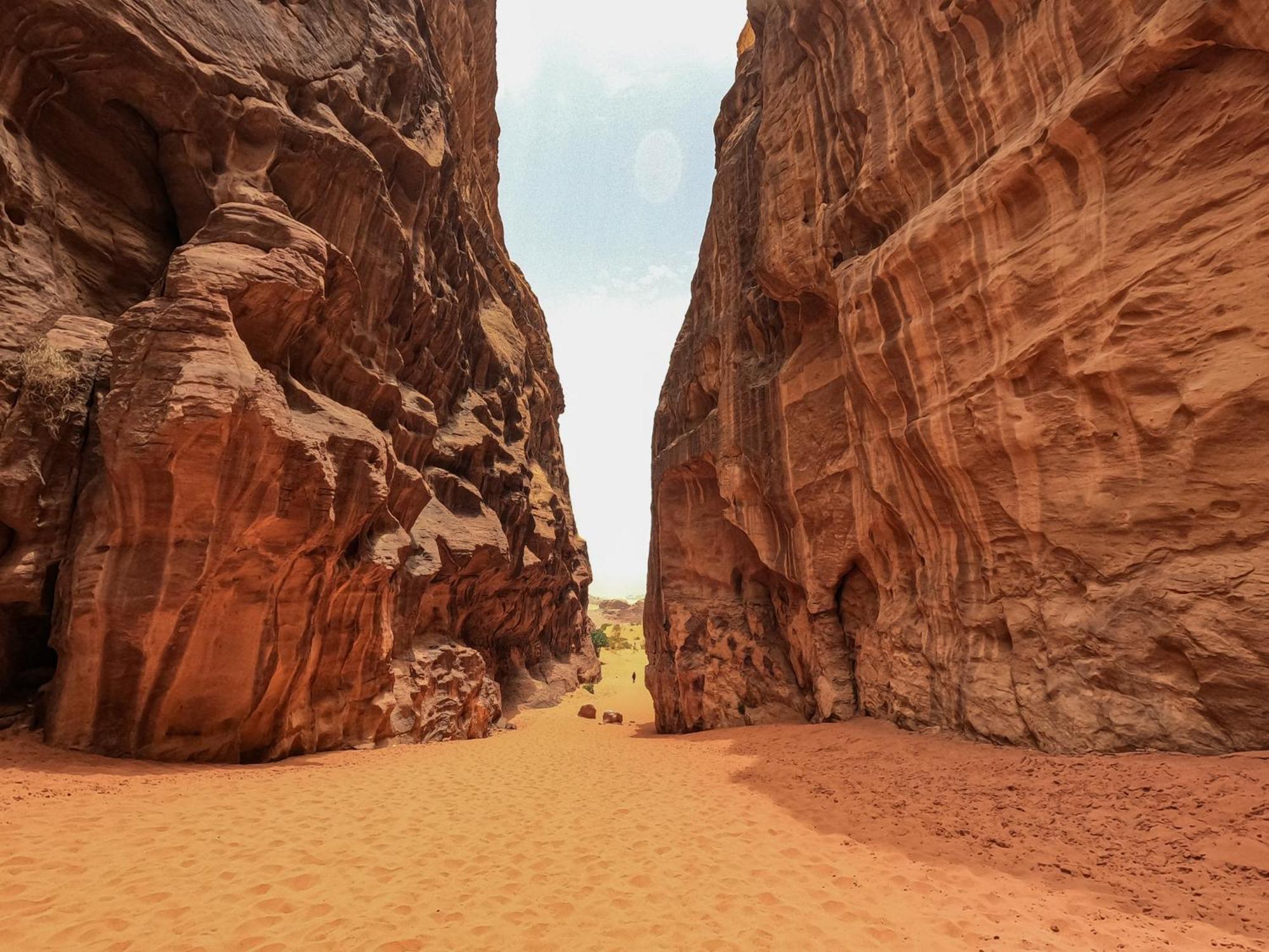 Stargazing Camp & Tours Hotell Wadi Rum Eksteriør bilde