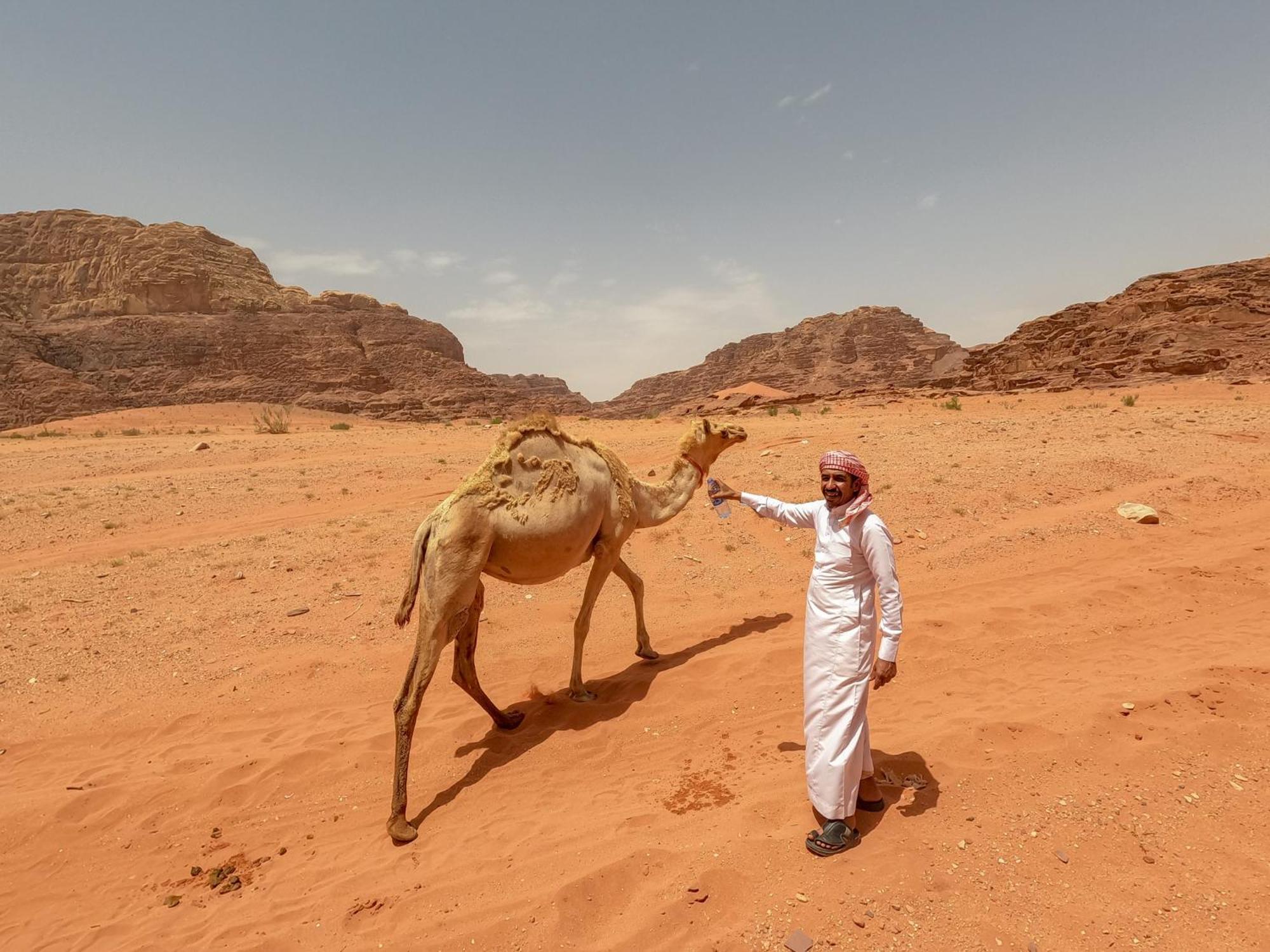 Stargazing Camp & Tours Hotell Wadi Rum Eksteriør bilde