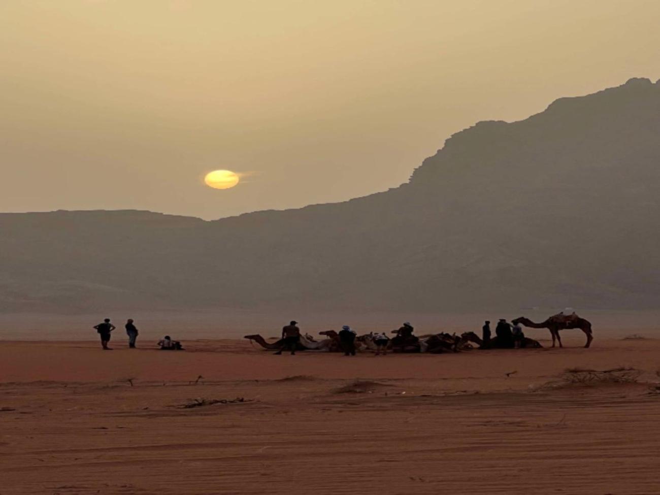 Stargazing Camp & Tours Hotell Wadi Rum Eksteriør bilde